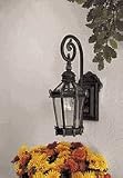 Outdoor Wall Sconces The Great Outdoors GO 8930