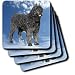 Dogs Bouvier - Bouvier Des Flandres - Coasters