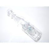 Ships In Bottles