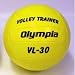 Volleyball Training Balls Olympia Sof-Train, 31