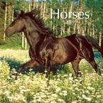 Horses 2009 Wall Calendar