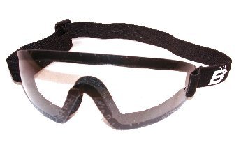 Childrens Toyshop  Sporting Goods : Birdz Eyewear Wing Anti Fog Skydiving Goggle