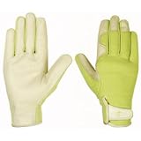 Wells Lamont #784M Medium WMNS Garden Glove by WELLS LAMONT CORP