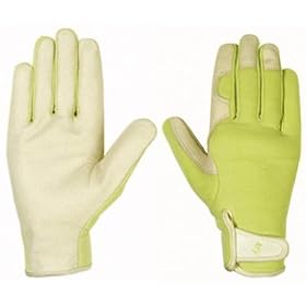 Wells Lamont #784M Medium WMNS Garden Glove from Garden Gloves