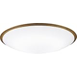 DAIKO ����d�@ �V�[�����O���C�g 8-10���p DX-85763