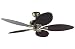 Hunter Fan Company