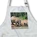 Wild animals - Black Rhino, Rhinoceros - Aprons