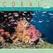 Book Wildlife Coral Reef Calendar