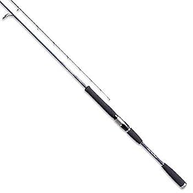 �_�C��(Daiwa) �\���e�B�X�g�E�G�N�X�g���[�� �x�C�W�M���O STX-BJ 641XHS