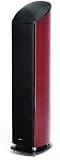 Mirage OMD-15 - OM Design - left / right channel speakers - 2.5-way - high gloss rosewood veneer