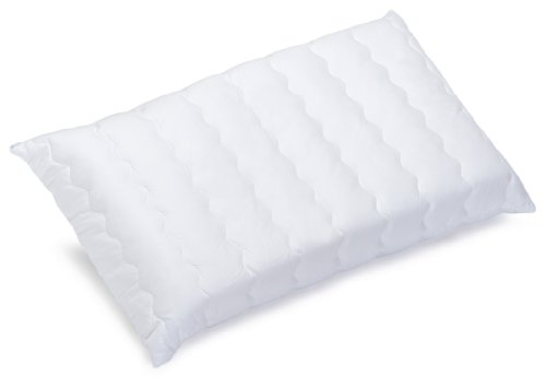 Billerbeck 5453650001 S29 Fit Sale Care Nackenst&uuml;tzkissen mit Aloe-Vera-Veredelung Kern aus viscoelastisches High-Tech-Material, 40 x 80 cm, 1-tei ...
