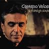 Image of Caetano Veloso