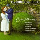 The Bird in the Bushの画像