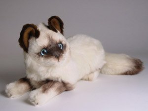 image link - - B0006FJBUO