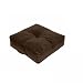 Greendale Home Fashions 20-Inch Square Floor Pillow Omaha/Amigo fabric, Bitter