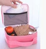 Kitchen & Housewares : Sandwich Cooler with Ice Pack (Pink)