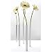 K&uuml;che & Haushalt : Monkey Business MAGNETIC VASE 5er-Set silber