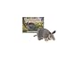 Armadillo at Riverside Road (Smithsonian Oceanic Collection)