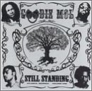 Still Standing