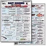 Bait Rigging Chart #1