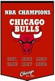 Chicago Bulls 24''X36'' Wool Dynasty Banner