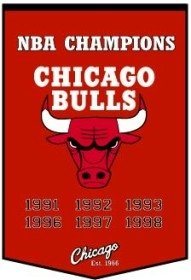 Chicago Bulls 24''X36'' Wool Dynasty Banner