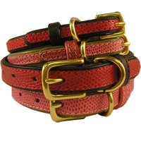 Embossed Lizard Combination Collar - 10" - Pink/Lime