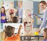 Inflatable Anatomy & Digestion Kit