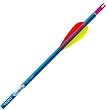 12 - Pk. Easton® Genesis 1820 30 Arrows with Vane