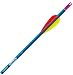 Sporting Goods : 12 - Pk. Easton® Genesis 1820 Arrows with Vane