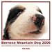The Dog Bernese Mountain Dog (Artlist Collection)