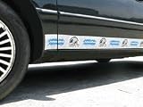 Carolina Panthers Car Trim Magnets