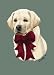 Yellow Lab with Bow Boxed Holiday Cards - 5" X 7" - Box Of 12 Cards