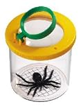 kids and infants educational toys item: Safari Toys World's Best Bug Jar