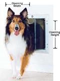 Extra Large Plexidor Pet Door / Dog Door for Doors (Silver)