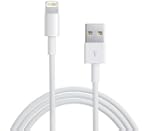 LUPO 1 m�tre � 8 broches Lightning US...