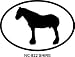 SHIRE Oval Bumper Sticker