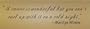 A career is wonderful but you can't curl up with it on a cold night. ~Marilyn Monroe - Vinyl Wall Art Lettering Words