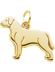 Rembrandt Charms Labrador Retriever Charm