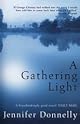 A Northern Light
