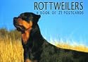 Rottweilers