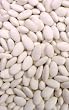 Grecian Imports Brand - Jordan Almonds - Super Fine (Best Grade) - Ivory - Polished (shiny) 1 pound