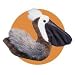 Plush Scoop Pelican 6