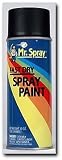 Plastikote Mr. Spray Flat Black