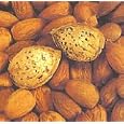 All in One Almond Tree Five Gallon