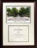 Scholar South Florida Bulls NCAA 18" x 24" Framed Limited Edition Lithograph with Diploma Opening