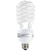 Globe 0784001 40-Watt Compact Fluorescent Reader Bulb (150-Watt Incandescent Equivalent), Soft White