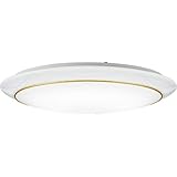 DAIKO ����d�@ �V�[�����O���C�g 8-10���p DX-85804