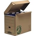 Fellowes H�ngemappen-Box R-Kive Earth