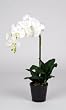 Artificial 22" Single Stem Phalaenopsis Orchid